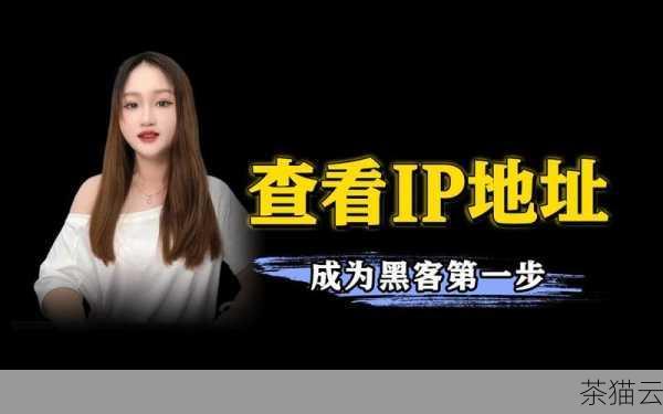 IP 地址还与网络安全息息相关，黑客和不法分子可能会利用虚假的 IP 地址来进行网络攻击和欺诈活动，对于网络监管部门和安全机构来说，准确追踪和识别 IP 地址的来源和归属变得至关重要。