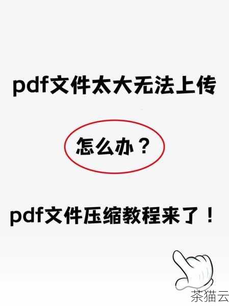 问题一：导出的动画文件太大怎么办？