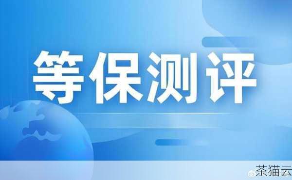 值得一提的是，无论是哪种类型的专业机构，在执行等保测评时都需要遵循严格的标准和流程，他们会对信息系统的物理安全、网络安全、主机安全、应用安全、数据安全等多个方面进行全面的检测和评估，发现潜在的安全风险和漏洞，并提出相应的整改建议，以帮助信息系统达到相应的安全等级要求。