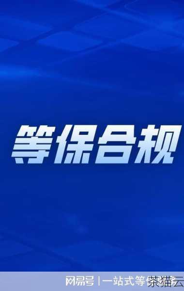 执行等保测评的专业机构是保障信息系统安全的重要防线，在选择等保测评机构时，企业和单位应该谨慎选择，确保其具备合法的资质和可靠的技术能力，从而为信息系统的安全保驾护航。