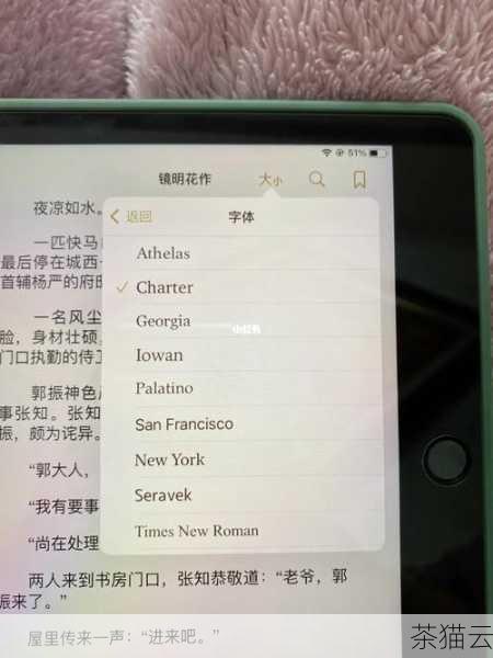 虽然 iPad 更改字体的过程可能稍显复杂，但通过选择合适的软件，您一定能够打造出一个符合自己喜好的个性化界面。