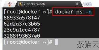 对于已经停止的容器，我们可以使用docker ps -a 命令来查看，这个命令会列出所有的容器，包括正在运行的和已经停止的，让我们对系统中的容器有一个全面的了解。