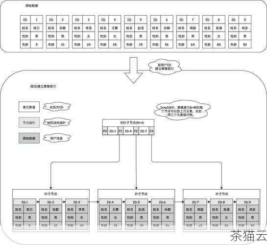 在这个例子中，user 对象具有三个属性：name、age 和isActive。