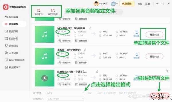 AAC 格式是苹果公司主推的一种音频格式，其在压缩效率和音质方面都有不错的表现，常见于苹果设备和一些在线音乐平台。