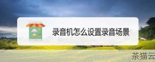 在选择录音文件格式时，需要根据具体的使用场景和需求来决定，如果追求高音质和无损保存，WAV 或 FLAC 格式是不错的选择；如果需要在网络上分享或在存储空间有限的设备上存储，MP3 或 AAC 格式则更为合适。