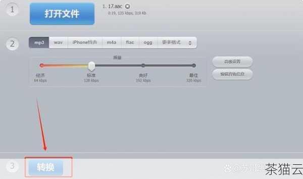 答：如果您需要在手机上存储大量录音，MP3 或 AAC 格式可能是比较合适的选择，这两种格式在保证一定音质的同时，文件体积相对较小，可以节省手机的存储空间。