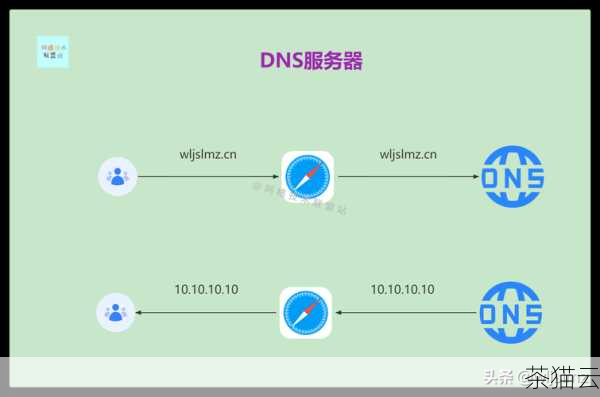 让我们来了解一下什么是 DNS 转发器，DNS 转发器就是一种网络设备或服务，它的作用是接收本地网络中的 DNS 查询请求，并将这些请求转发到其他 DNS 服务器进行解析，通过使用 DNS 转发器，可以提高 DNS 解析的效率和准确性，减少网络延迟。