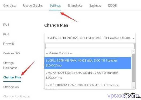 问题二：下载 VPS 网站助手需要注意哪些事项？