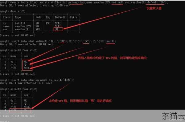 问题二：添加列时能否同时指定默认值？