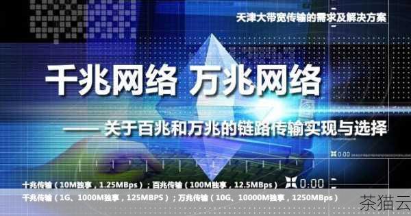 美国百兆独享服务器，顾名思义，提供了高达百兆的独享网络带宽，这意味着用户无需与其他用户共享带宽资源，能够充分保障数据传输的速度和稳定性，对于那些对网络带宽有着高要求的业务，如大型网站、在线游戏、高清视频流媒体等，美国百兆独享服务器无疑是一个理想的选择。