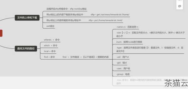 问题 3：在文件操作中，使用 'as' 给文件对象起别名有什么好处？