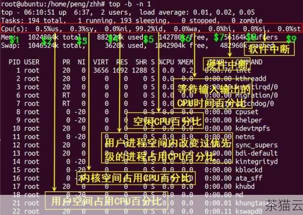 答：需要确定是容器内的哪个进程占用了大量的 CPU 资源，可以通过在容器内使用类似top 或者htop 这样的命令来查看进程的 CPU 使用情况，如果是某个特定的应用进程占用过高，可以考虑优化应用的代码或者配置，如果是多个进程共同导致的，可能需要调整容器的资源限制或者增加资源分配。