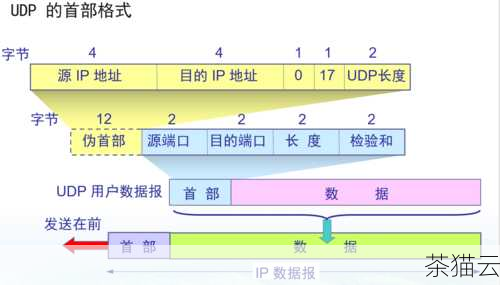 “-u”表示显示 UDP 协议的连接。