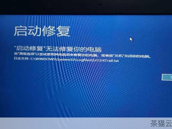 导致 Windows10 无法进入恢复模式的原因可能是系统文件损坏，系统文件在操作系统的正常运行中起着至关重要的作用，如果某些关键文件受损或丢失，就可能导致恢复模式无**常启动。