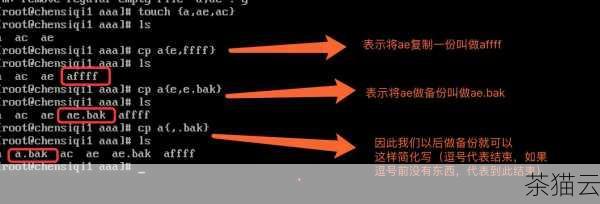 %”是通配符，表示任意字符序列（包括空字符序列）。