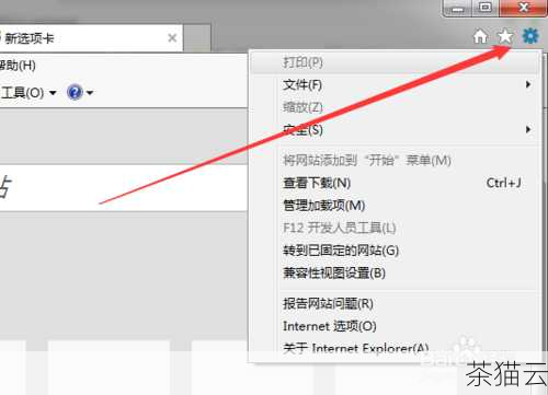 方法三：使用 Internet Explorer 浏览器