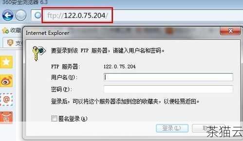 打开 Internet Explorer 浏览器，在地址栏中输入 FTP 服务器的地址，然后按下回车键。