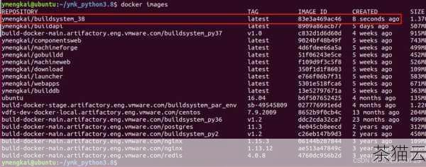 安装完成后，您就可以在 Python 程序中导入和使用 SSL 模块了，您可以使用它来创建安全的网络连接、验证服务器证书等。