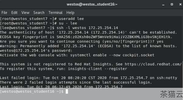 假设我们要将本地的文件file.txt **到远程主机remotehost 上的用户user 的家目录中，可以使用以下命令：