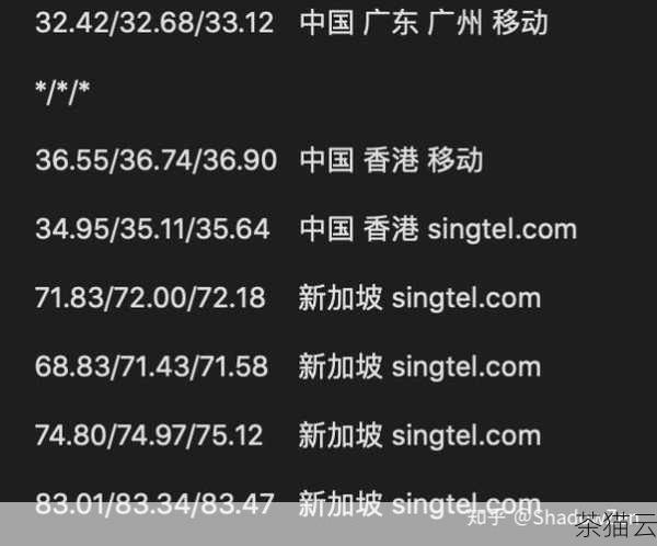 Speedypage 新加坡 VPS 的上线为用户带来了更多的可能性和机会，无论是追求高性能的技术爱好者，还是希望拓展业务的企业，都可以从中受益，相信在未来，随着技术的不断发展和用户需求的不断变化，Speedypage 新加坡 VPS 将不断优化和完善，为用户提供更加优质的服务。