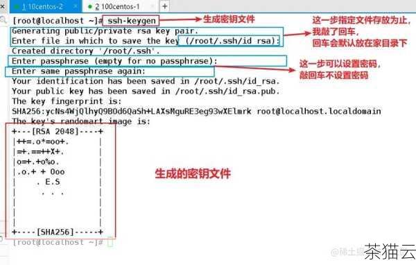 登录到服务器的控制面板或使用远程连接工具，如 SSH（Secure Shell），这是与服务器进行通信和操作的重要途径。