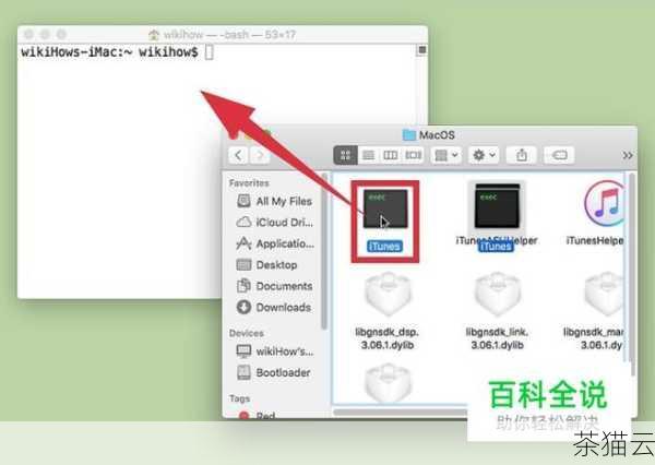 打开终端应用程序。