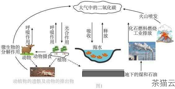 另一种常见的方式是使用循环来实现列表元素的替换，如果我们想要将列表中所有的奇数替换为 0 ，可以这样做：