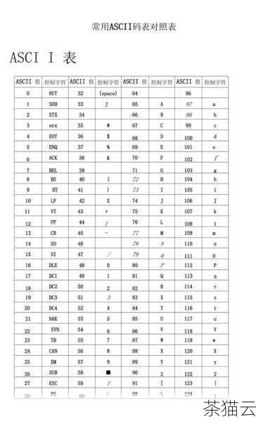 我们需要了解什么是 ASCII 码，ASCII（American Standard Code for Information Interchange）是一种字符编码标准，它为常见的字符（包括字母、数字、标点符号等）分配了唯一的整数值，字符 'A' 的 ASCII 码值是 65，字符 '0' 的 ASCII 码值是 48。