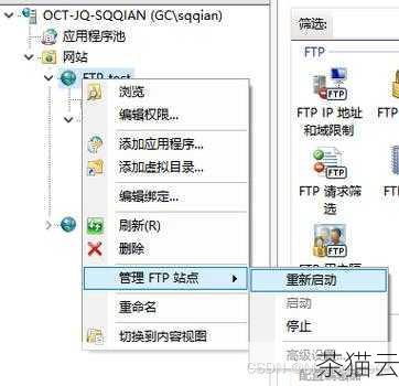 问题二：获取到 FTP 服务器地址后，访问时需要注意什么？