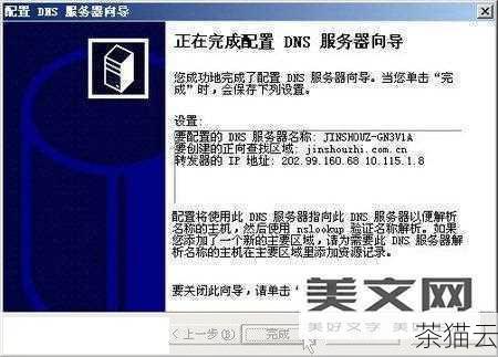 5、在新弹出的窗口中，选择“使用下面的 DNS 服务器地址”，然后输入您想要使用的首选 DNS 服务器地址和备用 DNS 服务器地址，一些常见的公共 DNS 服务器地址如：谷歌的 8.8.8.8 和 8.8.4.4，或者国内的 114.114.114.114 等。