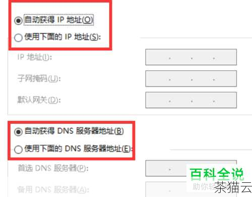 问题二：如何判断首选 DNS 服务器 IP 地址是否错误？