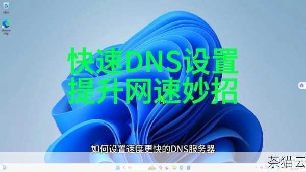 在检查 DNS 配置时，需要注意以下几点：