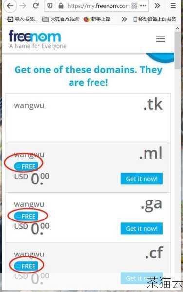 而谈到域名，像 Freenom 就提供了一些免费的顶级域名，tk 、.ml 、.ga 等，不过需要注意的是，这些免费域名可能在品牌形象和可信度方面不如常见的付费顶级域名。