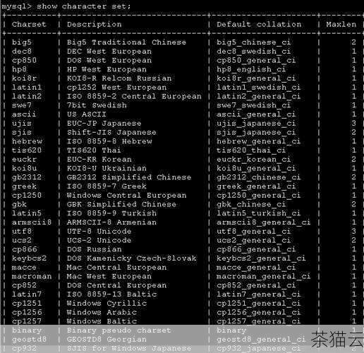 我们需要了解 Oracle 数据库的字符集设置，字符集是数据库中用于表示字符的数据格式，如果字符集设置不正确，就可能导致在数据存储和显示过程中出现乱码或问号，如果数据库的字符集设置为一种不支持特定字符的编码，而输入或存储的数据包含了这些字符，那么在显示时就可能出现问号。