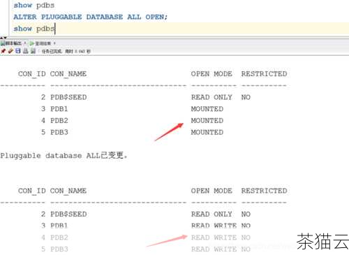 2、执行SELECT USERENV('LANGUAGE') FROM DUAL; 语句获取相关语言和字符集信息。