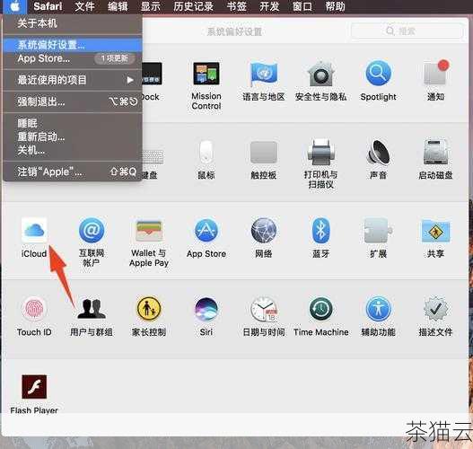 无论是 Windows 还是 Mac 操作系统，通过以上步骤，您都可以轻松地为自己的电脑设置待机屏保图片。