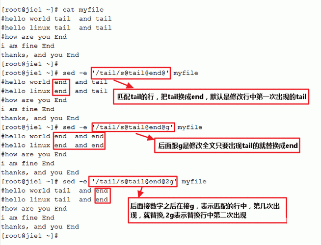 问题一：sed 如何处理多个文件？