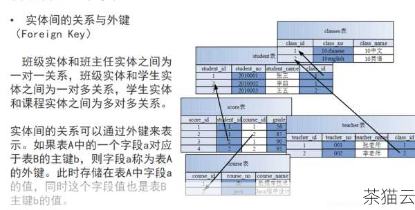 在创建数据库和表的过程中，还需要注意数据类型的选择、主键的设置以及约束条件的添加等，以确保数据的准确性和完整性。