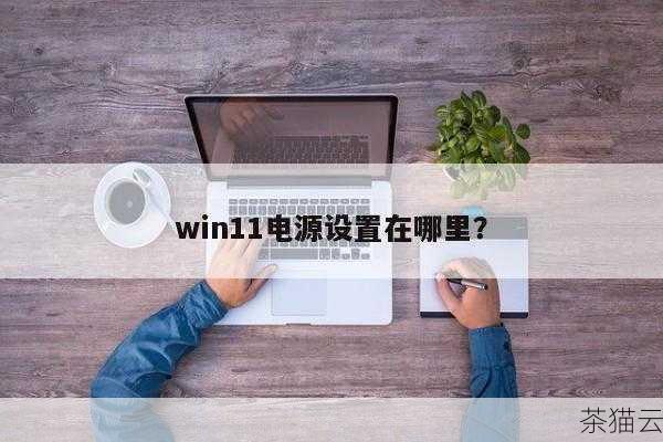 问题二：为什么我的 Win11 系统中没有某些电源模式选项？