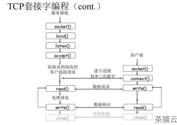 在实际编程中，了解如何正确使用这些获取大小的函数是非常重要的，它可以帮助我们有效地管理内存、优化算法，以及确保程序在处理不同规模的数据时能够正常运行。