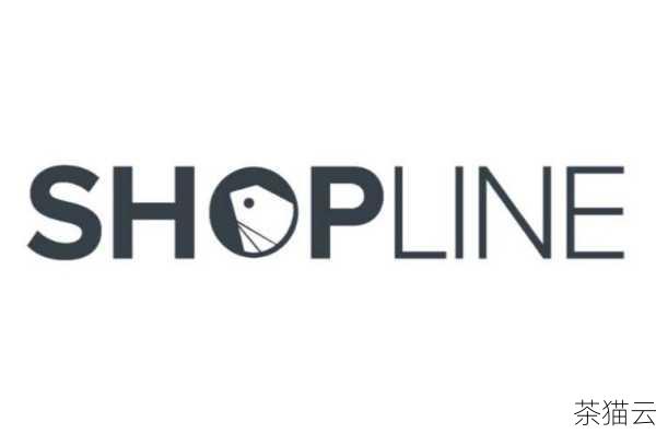 问题一：Shopline 适合什么样的企业使用？