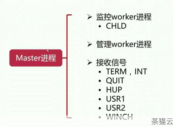 就是实际的停止操作，常见的停止 Nginx 进程的方法有多种，一种是使用命令行工具，通过执行特定的命令来停止 Nginx 进程，另一种是通过系统的服务管理工具来进行操作。