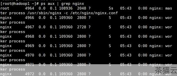 “sudo service nginx stop”