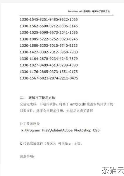 在下载补丁的过程中，要特别留意补丁的说明文档，文档中会详细介绍补丁的适用范围、安装步骤、注意事项以及可能带来的影响，仔细阅读这些内容可以帮助我们提前做好准备，避免在安装过程中出现意外情况。