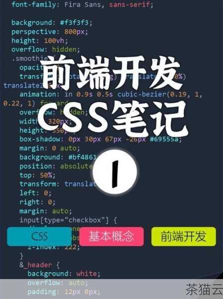 问题一：使用 CSS 隐藏前端变量是否完全安全？