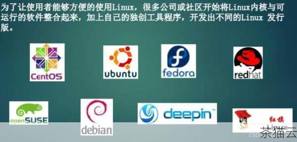 需要注意的是，不同的 Linux 发行版可能会有一些细微的差异，但总体的原理和方法是相似的，只要您掌握了这些基本的技巧，就能够轻松地在各种 Linux 环境中查看虚拟机的 IP 地址。