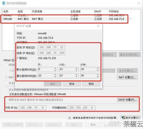 问题二：如何确定哪个是虚拟机的网络接口？