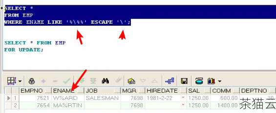在 Oracle 数据库的世界里，Escape 这个概念扮演着一个相当重要的角色，对于许多数据库开发者和管理员来说，理解 Escape 的作用是掌握高效数据处理和查询优化的关键之一。
