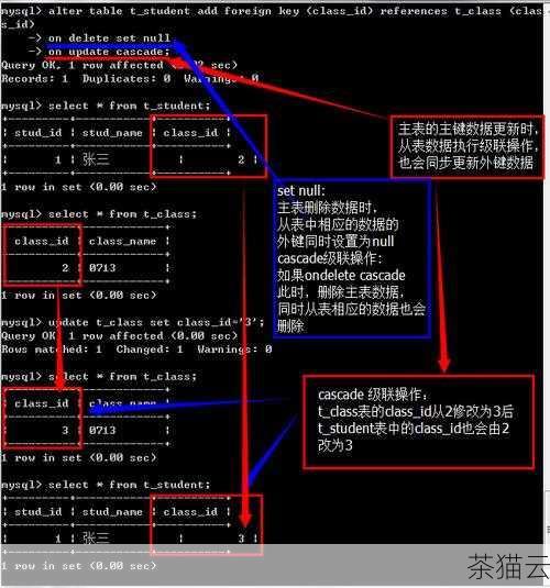 在 MySQL 数据库的操作中，创建外键是一项重要且实用的功能，外键的存在能够确保数据库中数据的一致性和完整性，为数据的管理和操作提供了有效的保障。